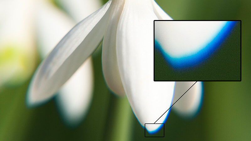 Fuente: blog.foto24.com