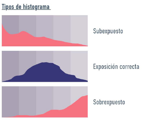Fuente: Libro referencia